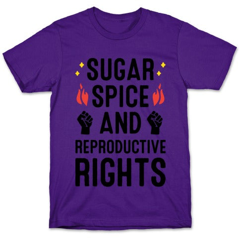 Sugar, Spice, And Reproductive Rights T-Shirt